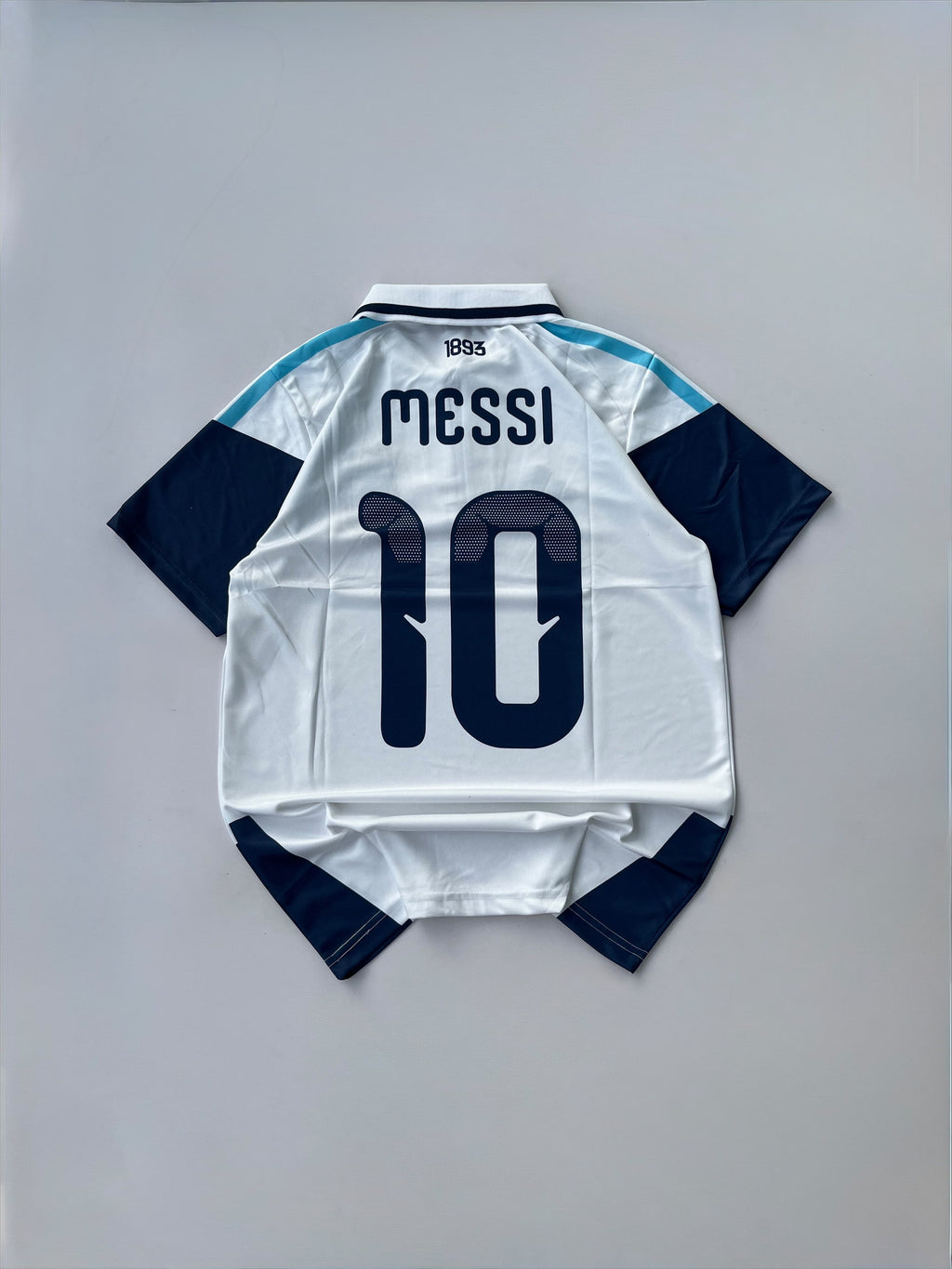 Argentina 2026 training polo embroidery premium